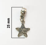 Star Charm